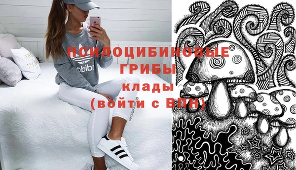 винт Аркадак